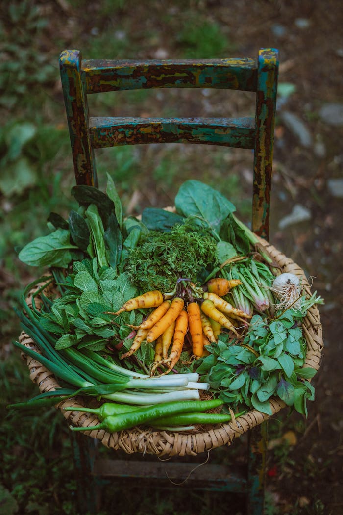 A vibrant assortment of fresh vegetables in a basket on a rustic wooden chair outdoors.