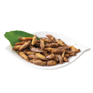 จิ้งหรีดทอด(ปรุงรส)