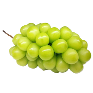 องุ่น(ไซมัสคัต)